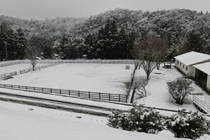 イベント：学園の雪