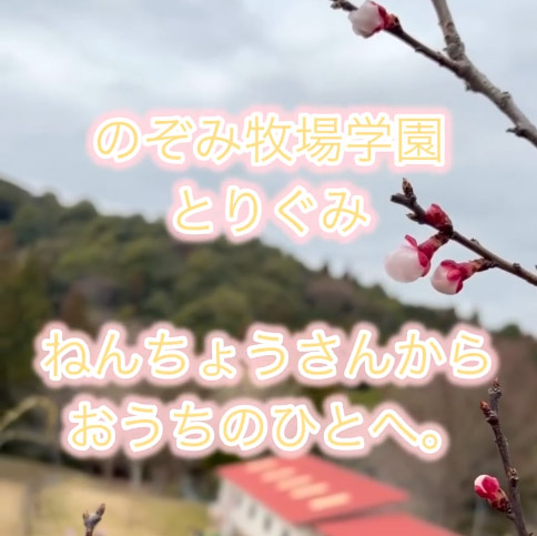 のぞみ牧場学園の卒園式