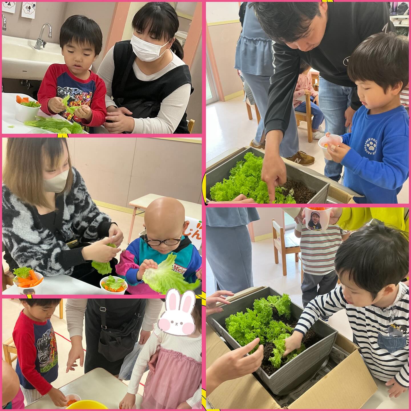 やま組参観日 お馬さんのお弁当作り🥕