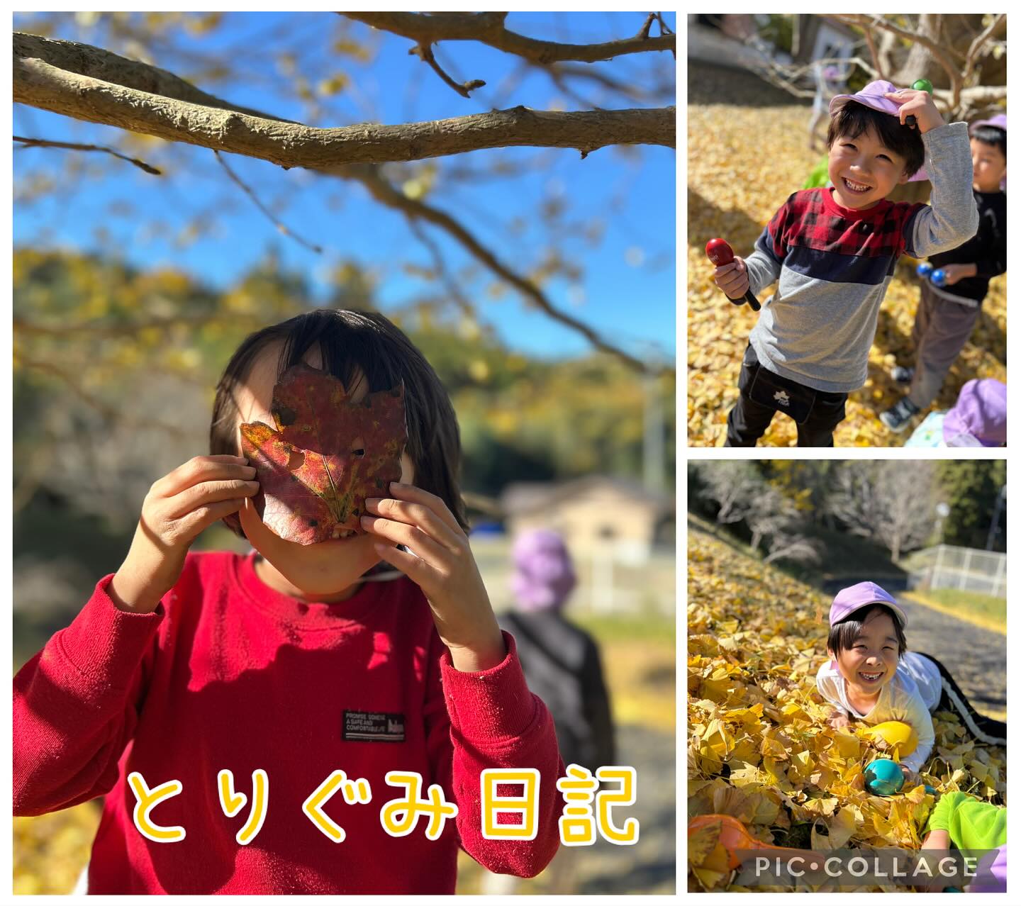 音楽遊びの様子