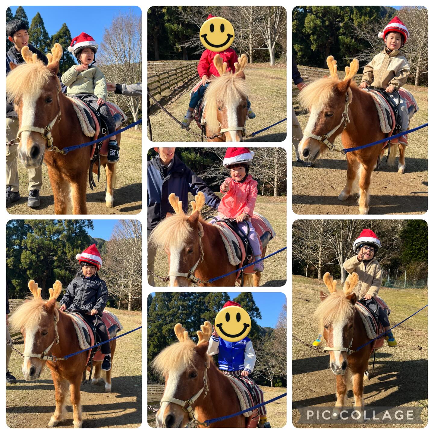 クリスマスに向けて