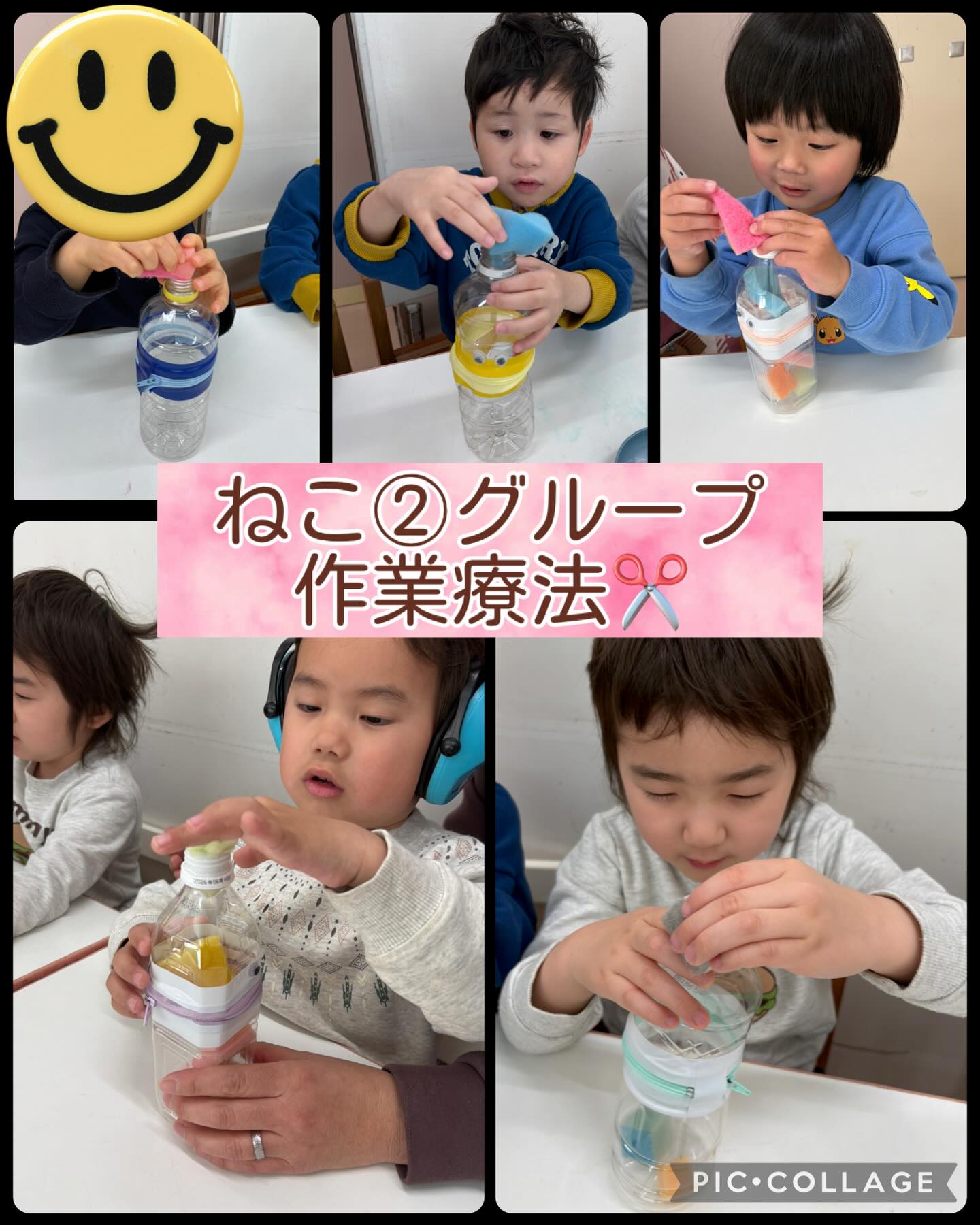 ねこ②グループ